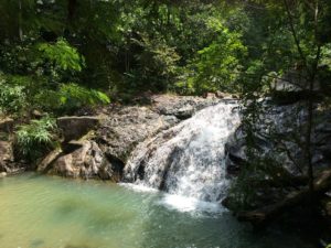 Waterfall At Gunung Pulai Johor