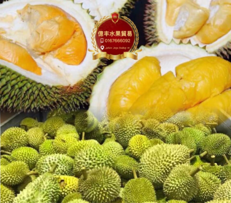 Yi Feng - Durian in Johor Bahru