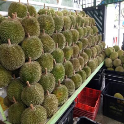 Deluxe - durian in Johor Bahru