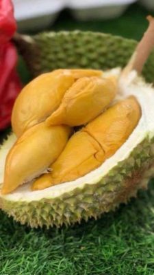 durian in Johor Bahru
