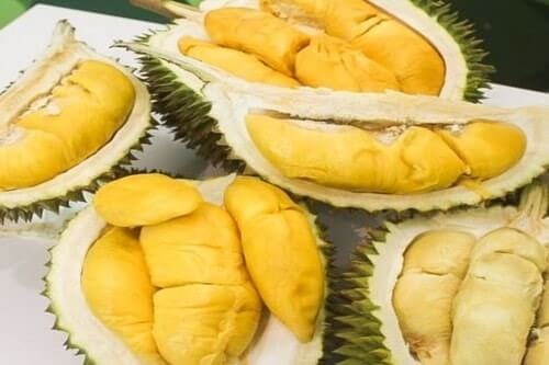 Private taxi Johor Bahru to Durian Melaka Food