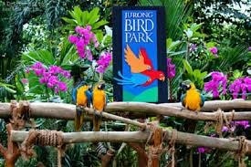 Jurong Bird Park