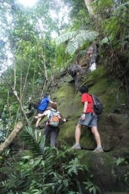 Gunung Panti is one of the Kota Tinggi attraction