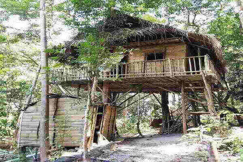 Rainforest Tree House - Kulai