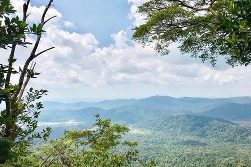 Gunung Panti hiking