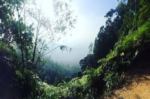 Gunung Pulai hiking