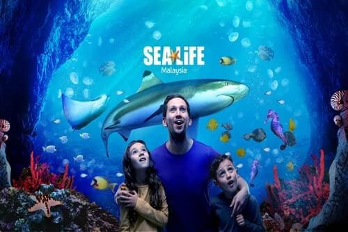 The reason why you should explore sea creatures of Sealife Johor