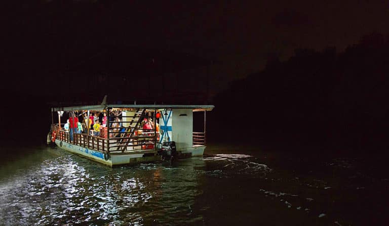 fireflies tour johor
