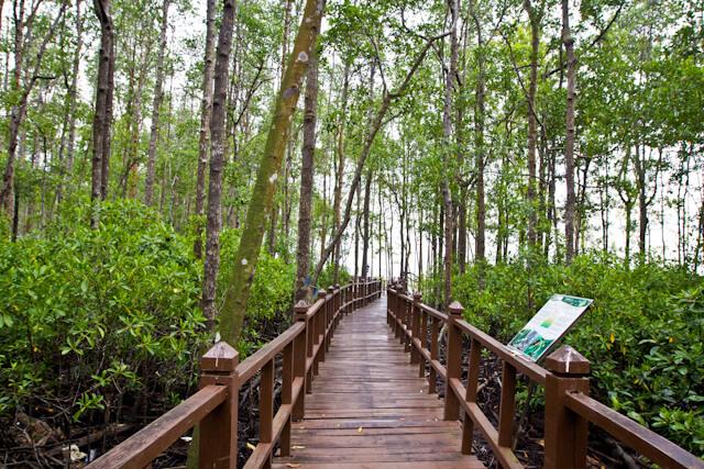 tanjung piai broadwalk