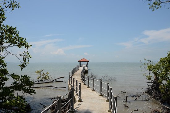 tanjung piai broadwalk