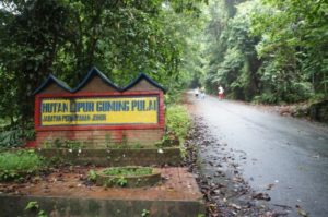 Adventure experience at gunung pulai johor