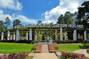 singapore to cameron highlands - agro park