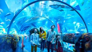 SEA LIFE Legoland Malaysia