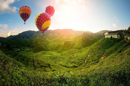 private taxi booking from Singapore to Cameron Highlands