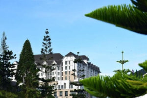 Avillion Cameron Highland