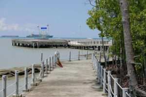 Kukup Tanjung Piai Johor