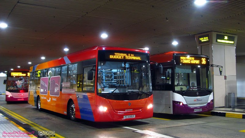 changi airport bus